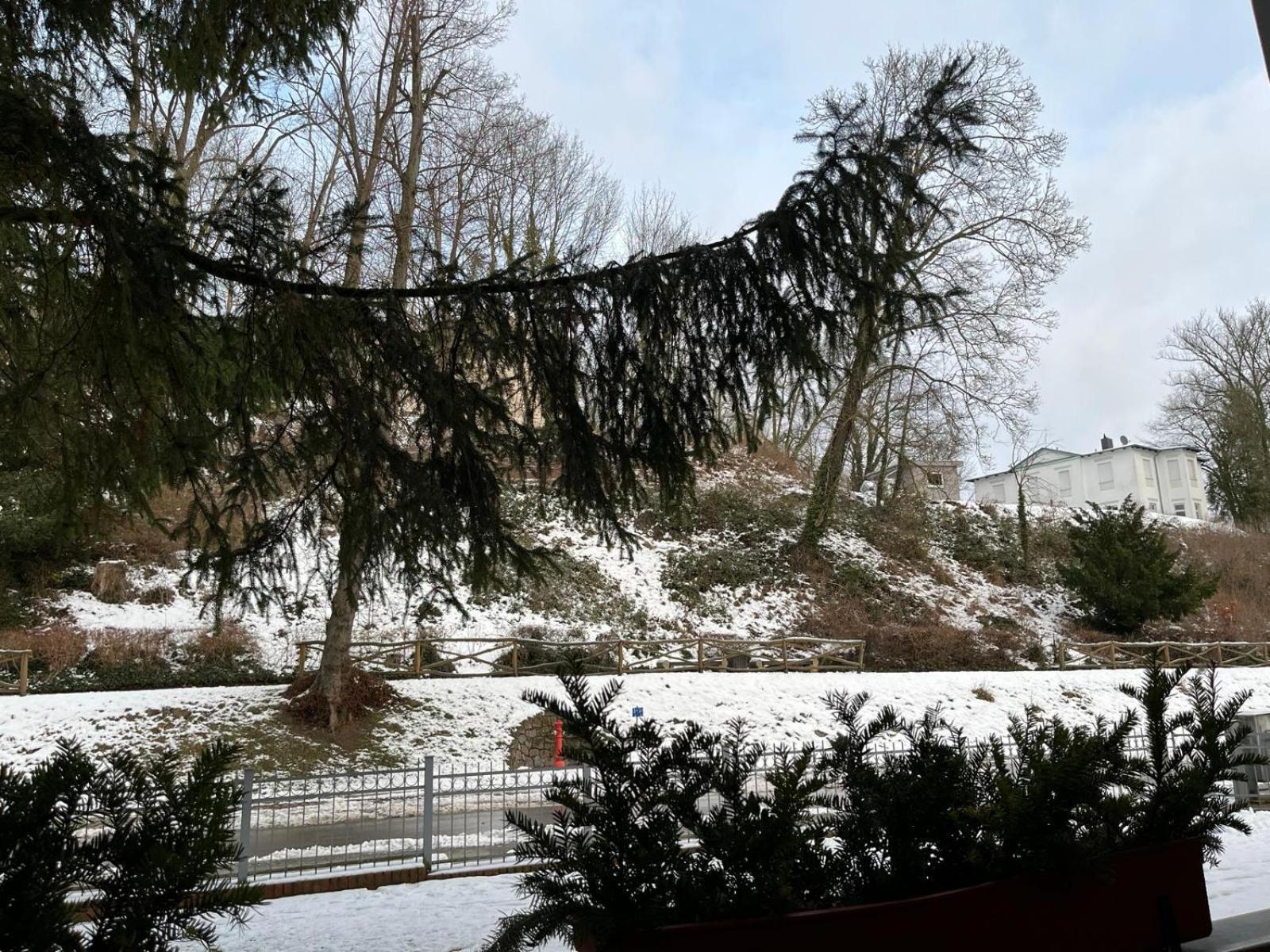 Villa Regina Bad Freienwalde Szoba fotó