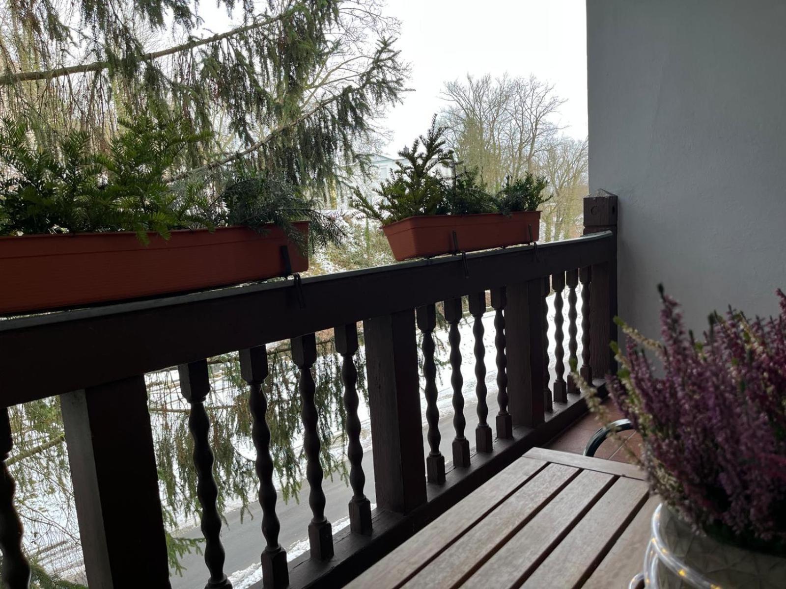 Villa Regina Bad Freienwalde Kültér fotó