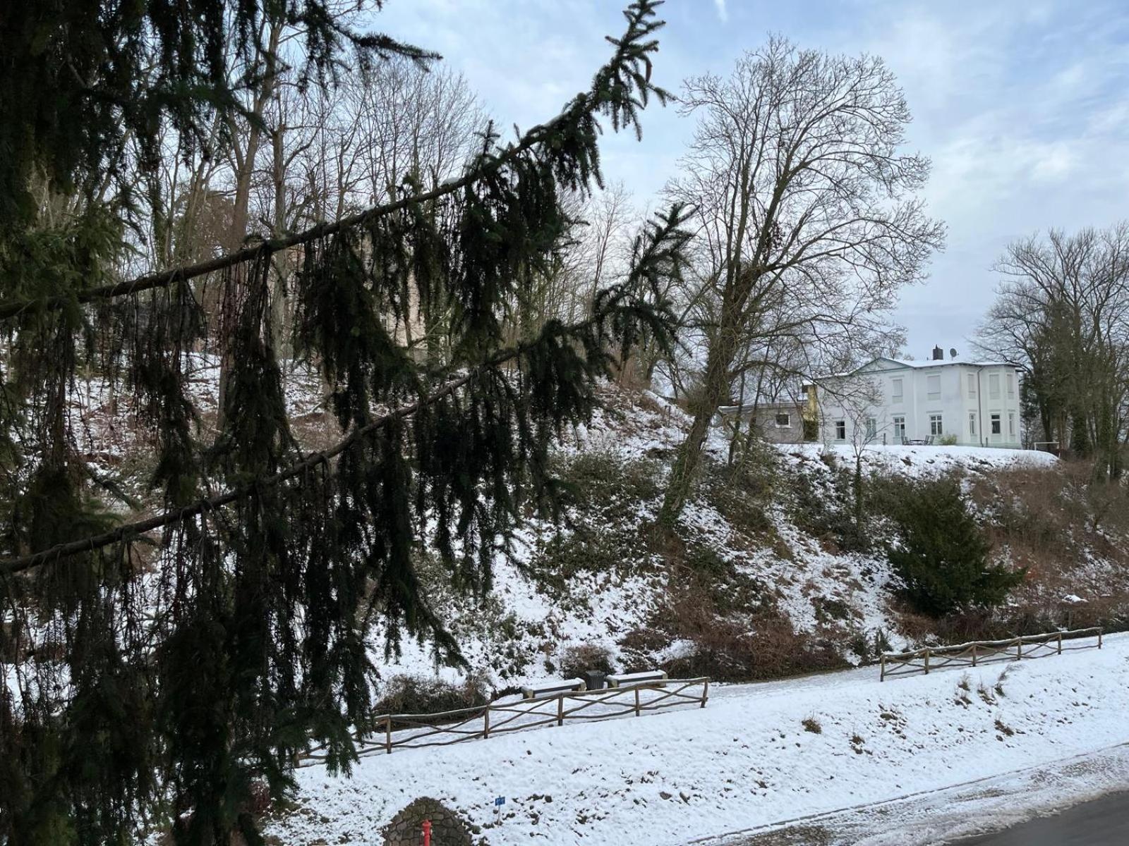 Villa Regina Bad Freienwalde Kültér fotó